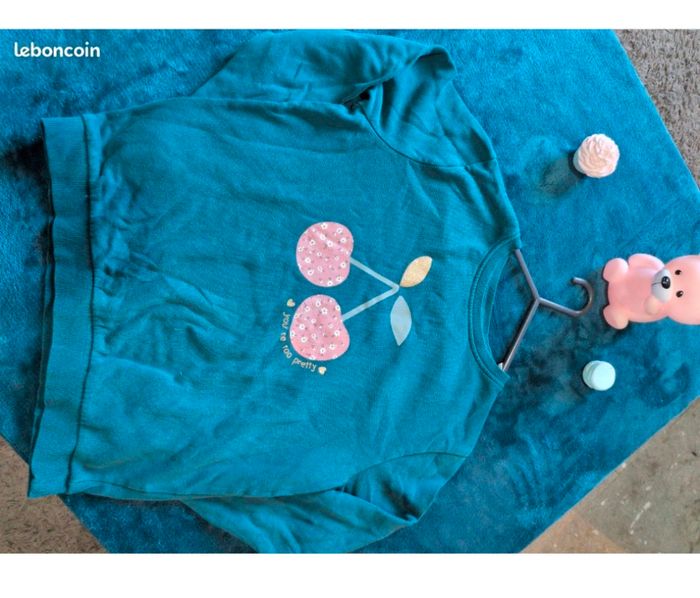 Pullsbl  hiver - photo numéro 2