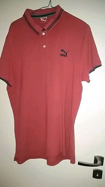Polo puma
