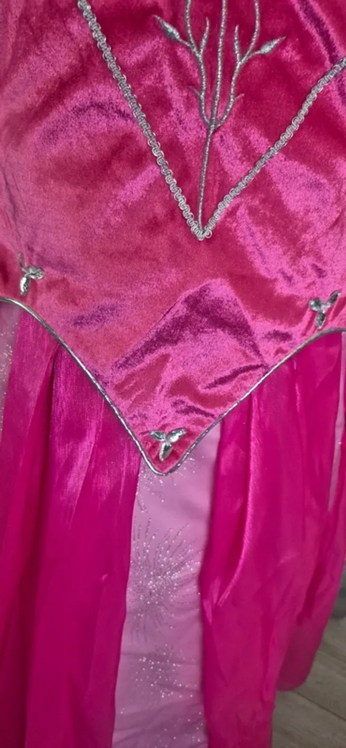 Robe princesse disney - photo numéro 17