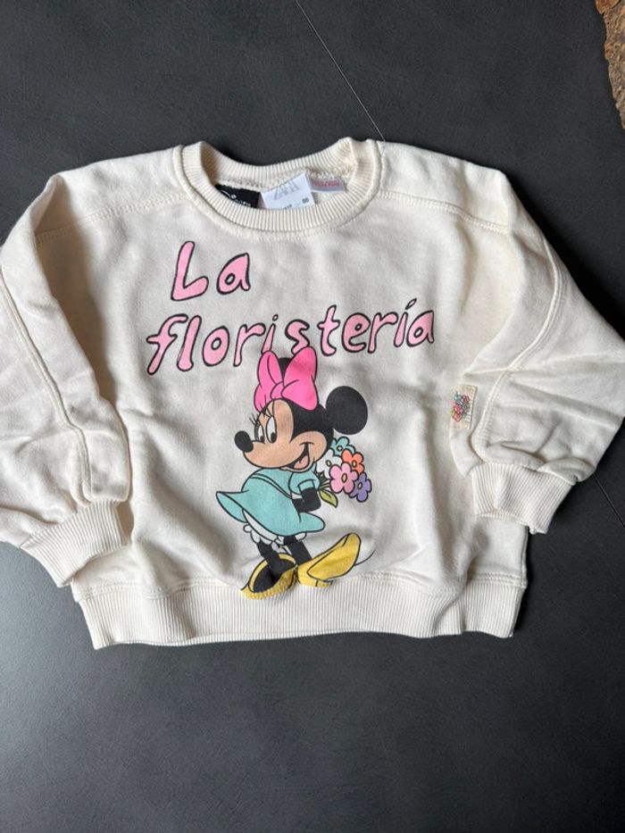 Ensemble 2 pièces sweat / jupe 24 mois - photo numéro 2