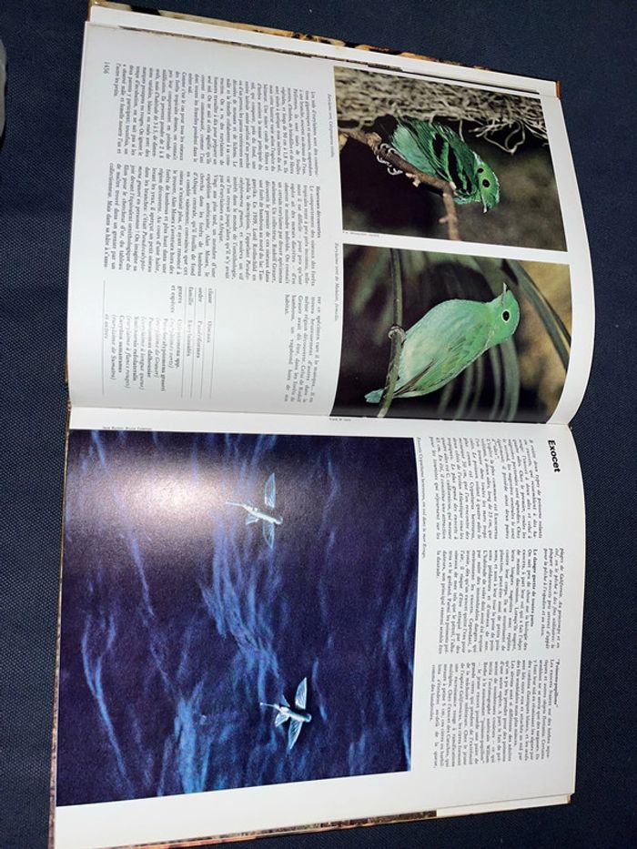 Livre pour enfants le royaume des animaux - photo numéro 4