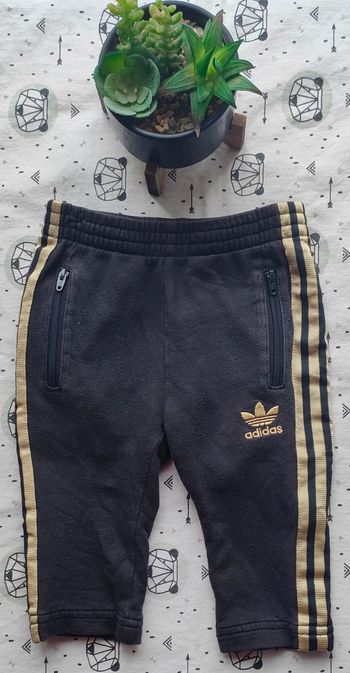 Jogging Adidas taille 6 mois