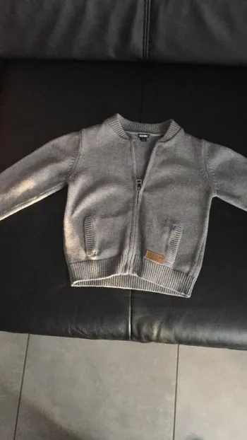 Gilet gris