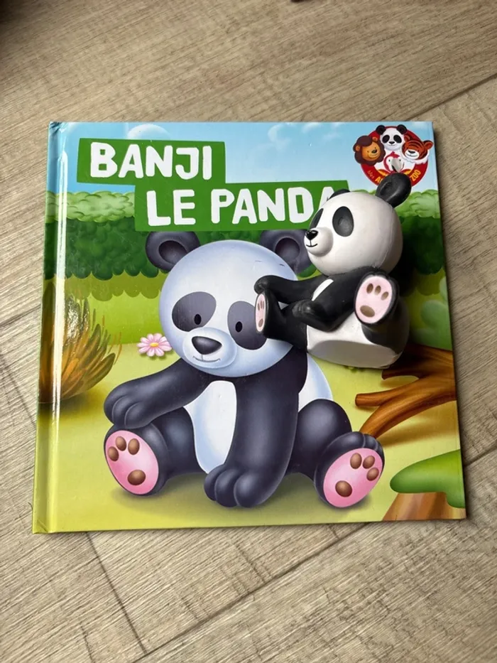 Livre enfant le panda banji - photo numéro 2