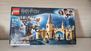 Lego 75953 Harry Potter le saule cogneur du château de Poudlard