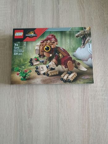 🦖 LEGO Jurassic World 76970 – Dolores, le bébé Aquilops – Neuf scellé 🦖
