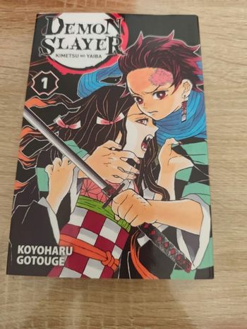 Demon slayer