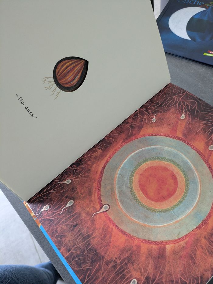 Livre je suis un arbre - photo numéro 4