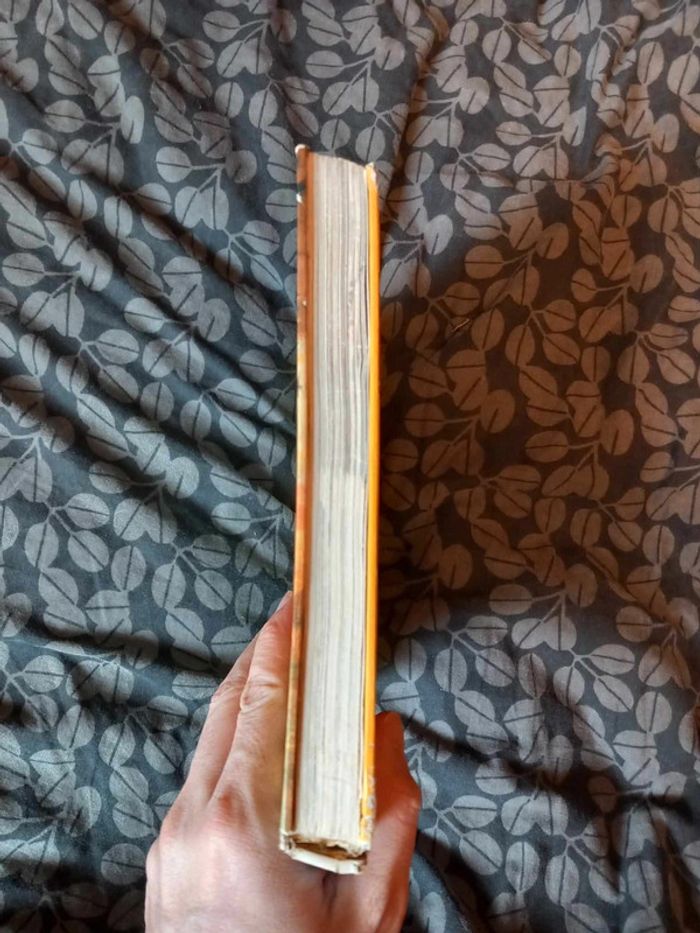 Walt Disney Des pays et des hommes - photo numéro 6