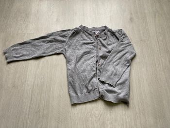 Gilet gris