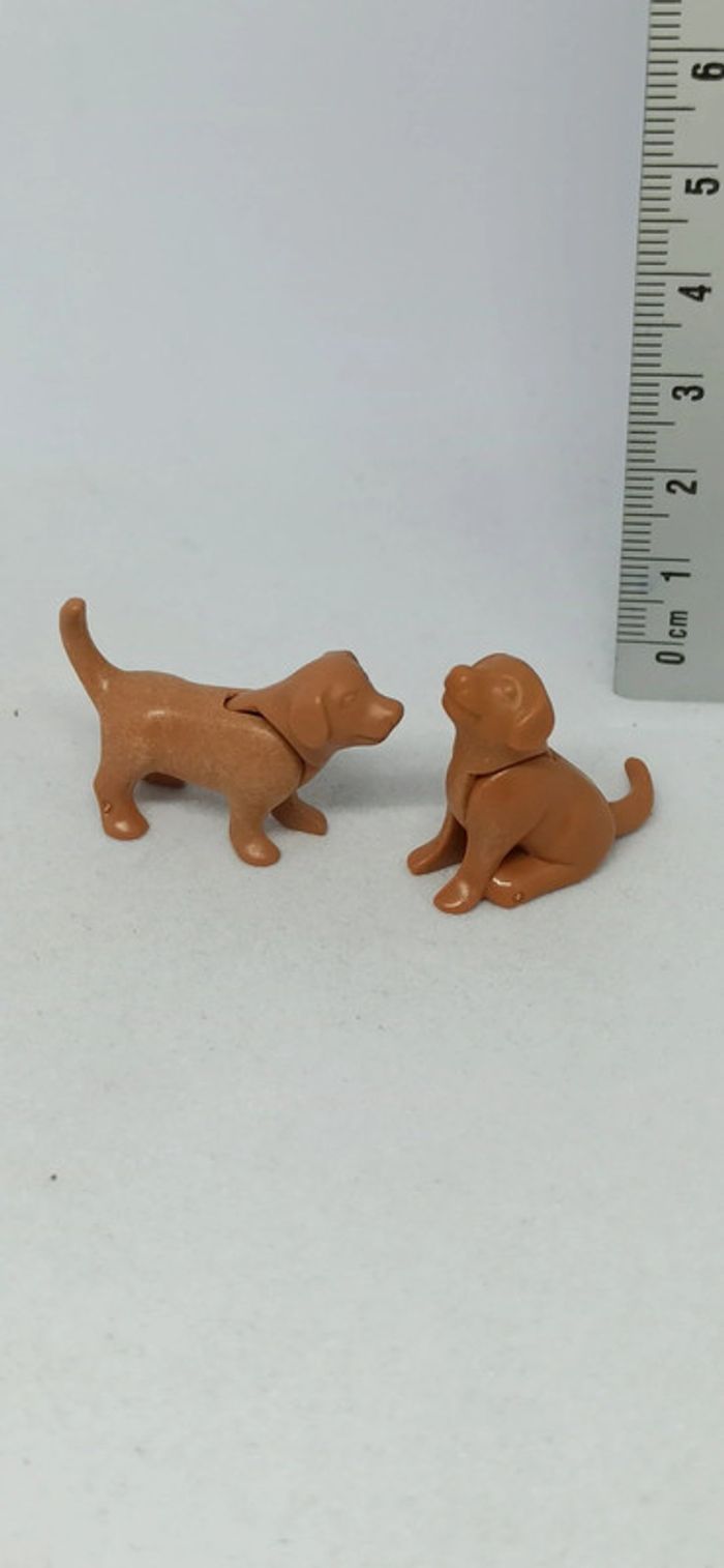 Chiots marron clair labradors playmobil