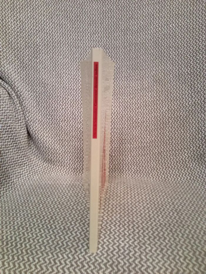 Comment devenir indien - l'École des Loisirs - photo numéro 9