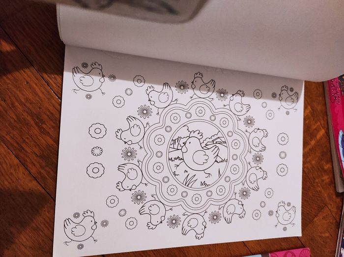 Lot livres d'activités fille mandalas - photo numéro 3