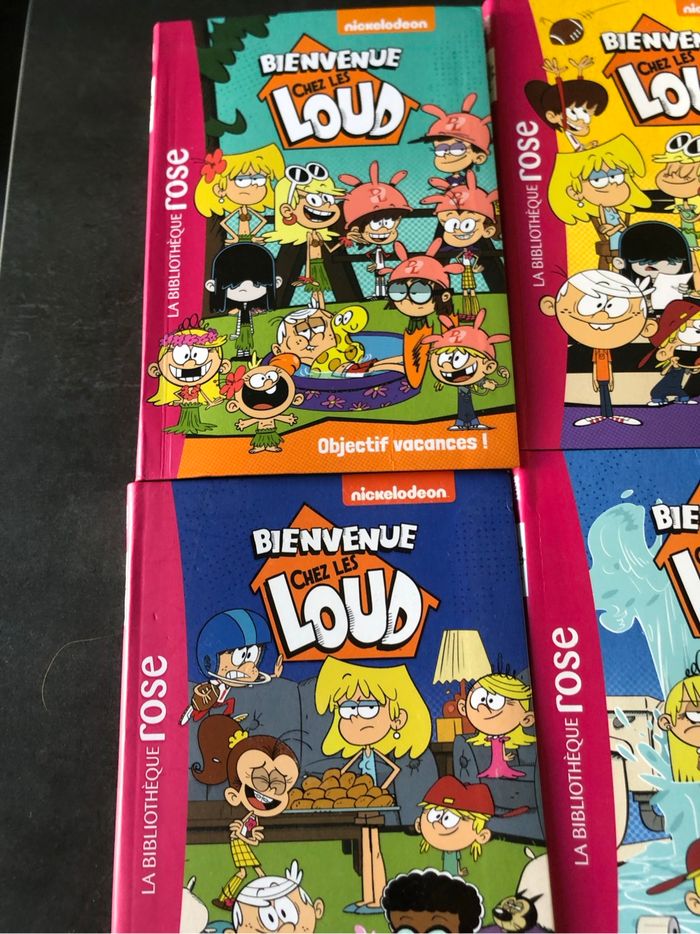 Livre bienvenue chez les loud - photo numéro 2