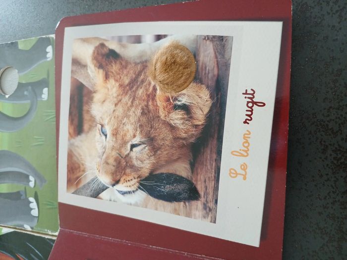 Lot de 4 livres "mon coffret des animaux " - photo numéro 6