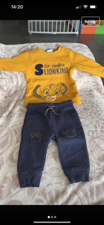 Ensemble Disney Simba