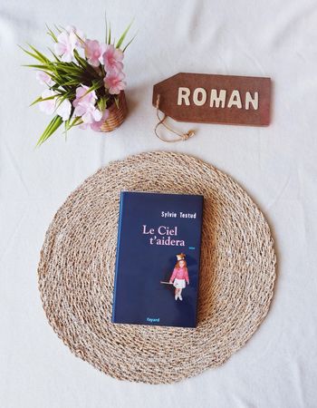 Livre 📙 le ciel t'aidera, Sylvie Testud