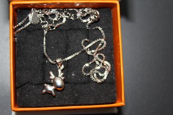 Chaîne et pendentif argent