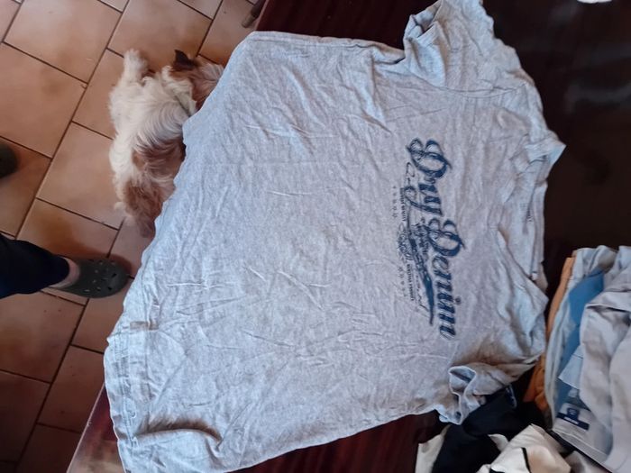 Lot tee shirt homme - photo numéro 2