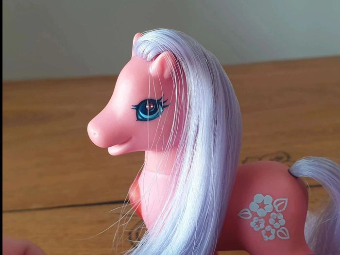 Mon Petit Poney G2  Princess  Light Up Morning  Glory Families - photo numéro 8