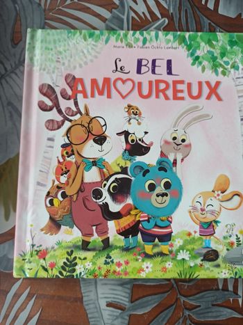 Livre le bel amoureux