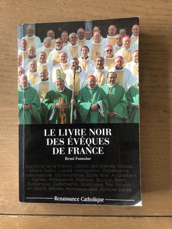 Le livre noir des évêques de France de Rémi Fontaine