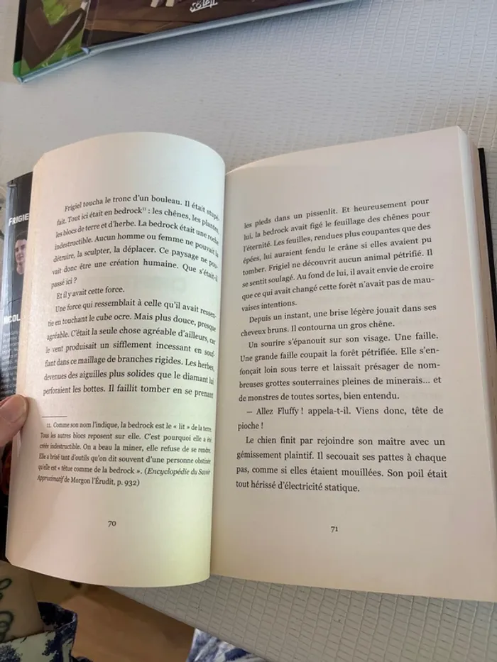 Lot de 2 livres - photo numéro 5