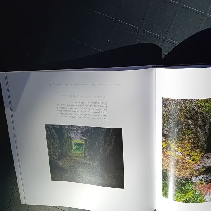 Croisée de mondes - photo numéro 9