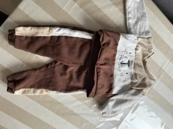 Ensemble ourson