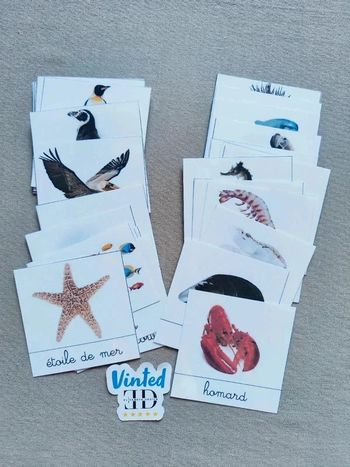 42 cartes de nomenclature de la faune et la flore de la mer