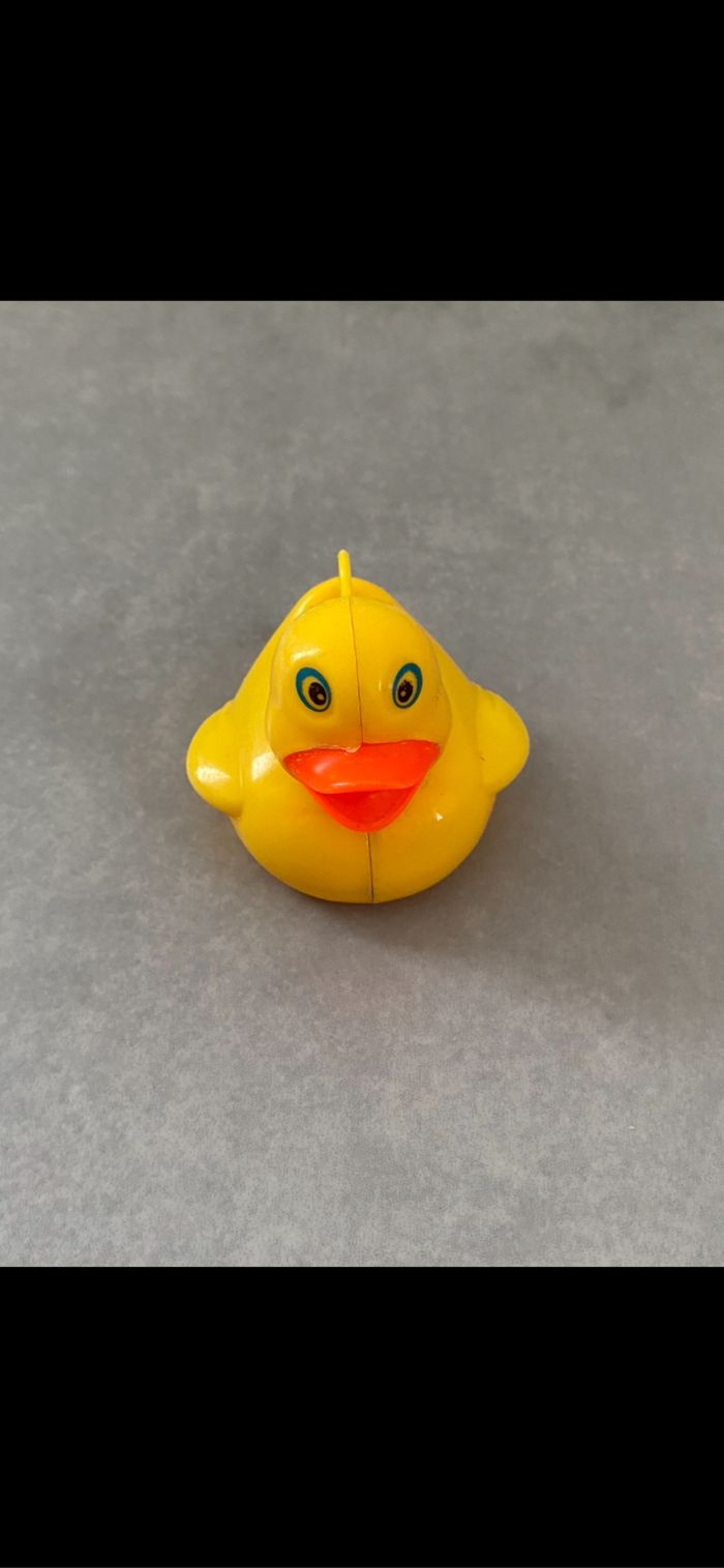 Canard pêche au canard - photo numéro 2