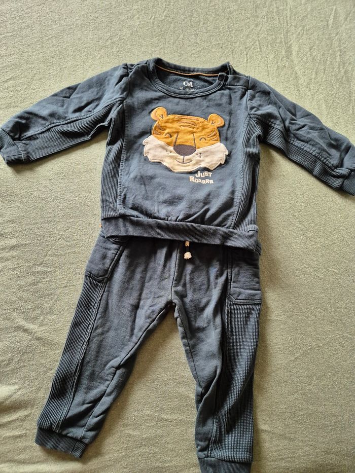 Ensemble tigre