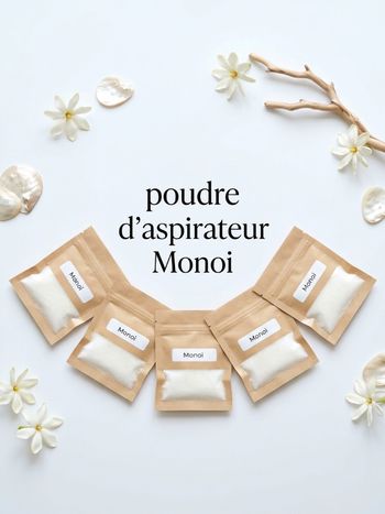 Poudre d’aspirateur
