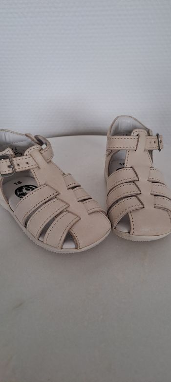 Kickers T18