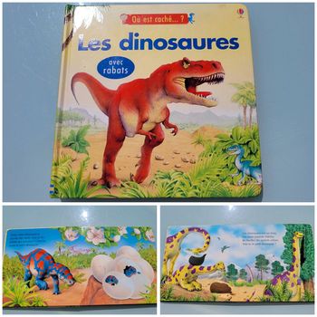 Livre animé de rabats : Où est caché ? Les dinosaures, usborne (48)