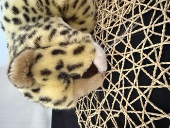 peluche léopard couché corps souple