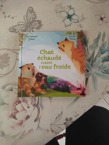 Chat échaudé craint l'eau froide