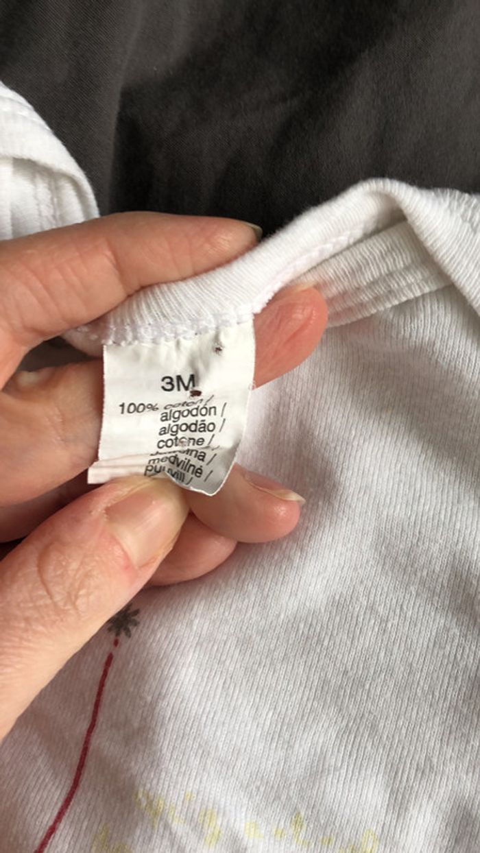 Lot bodies - photo numéro 4