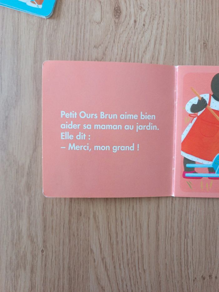 Petit Ours Brun - photo numéro 7