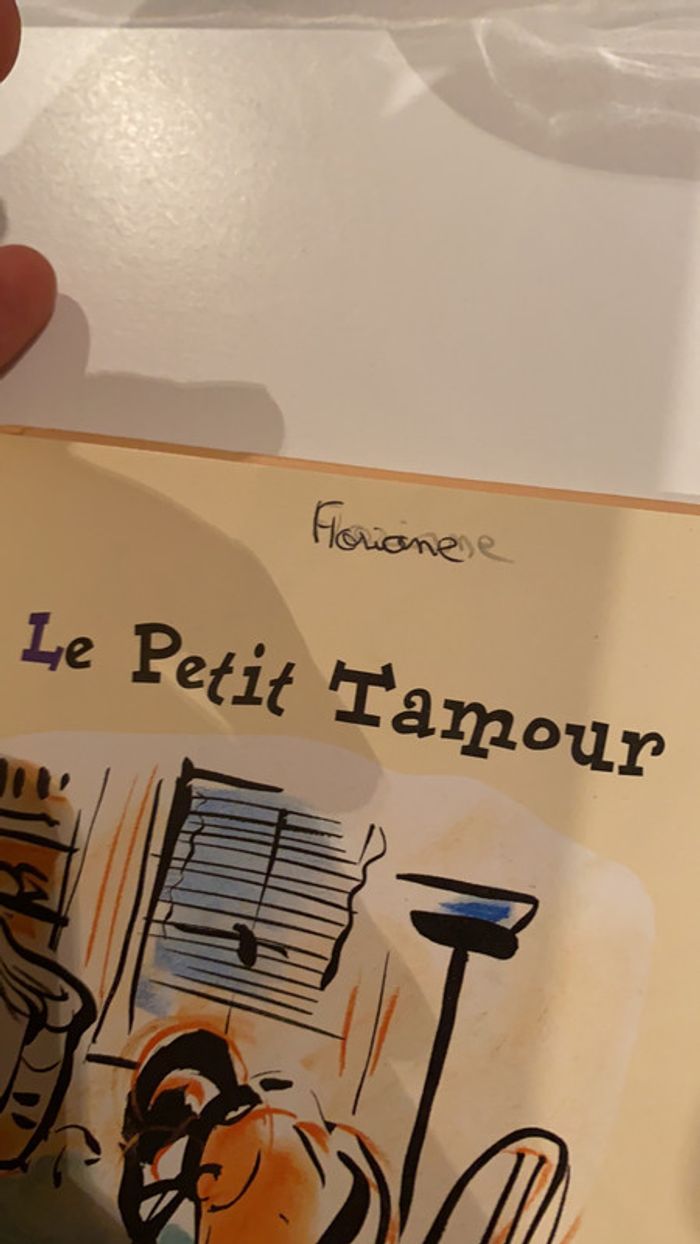 Lot livres jeunesse - photo numéro 5