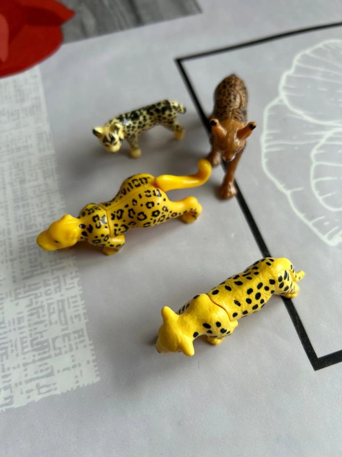 Animaux de la savane