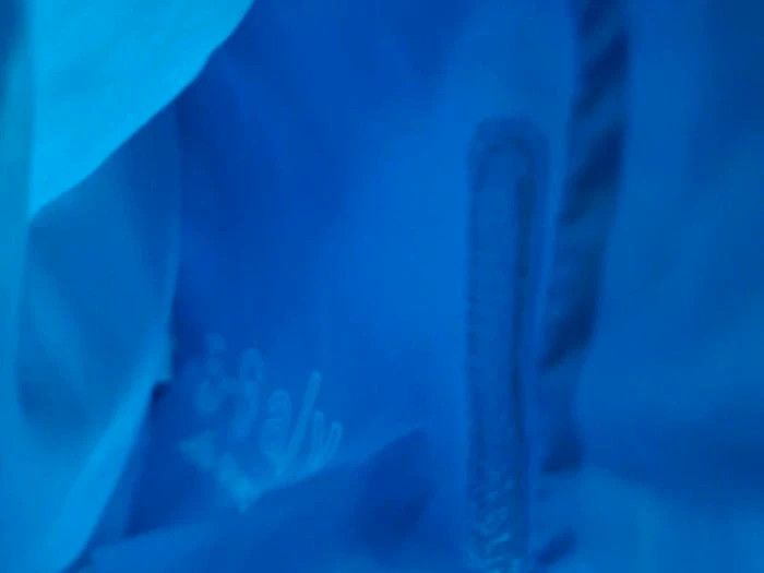 Veste imperméable de randonnée bleu Quechua 5- 6 ans - photo numéro 6