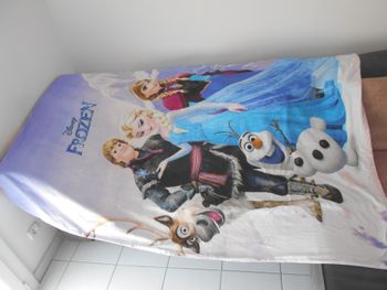 Housse de couette Reines des neiges (Disney)