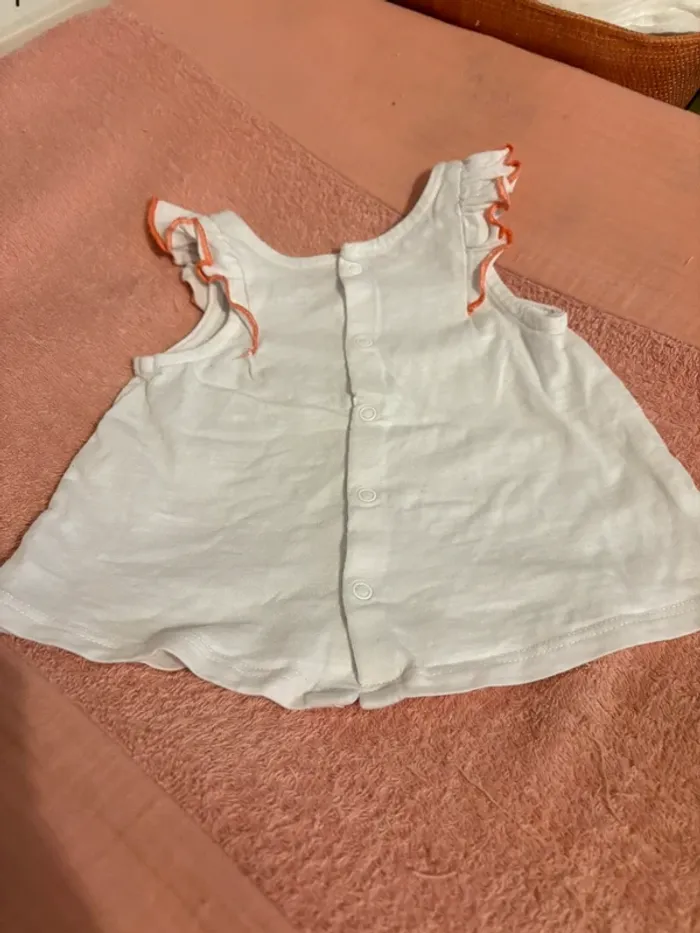 T shirt koala - photo numéro 3