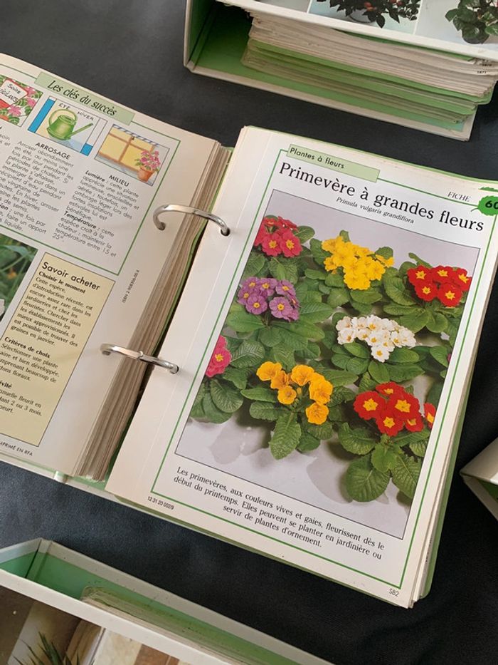 Soins et beauté des plantes - 1140 fiches explicatives - Série complète 6 classeurs + livre index - photo numéro 6