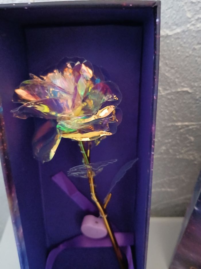 Rose éternel - photo numéro 4