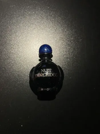 Miniature nuit d’orchidée