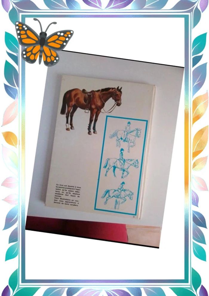 L’equitation chevaux et poney - photo numéro 2