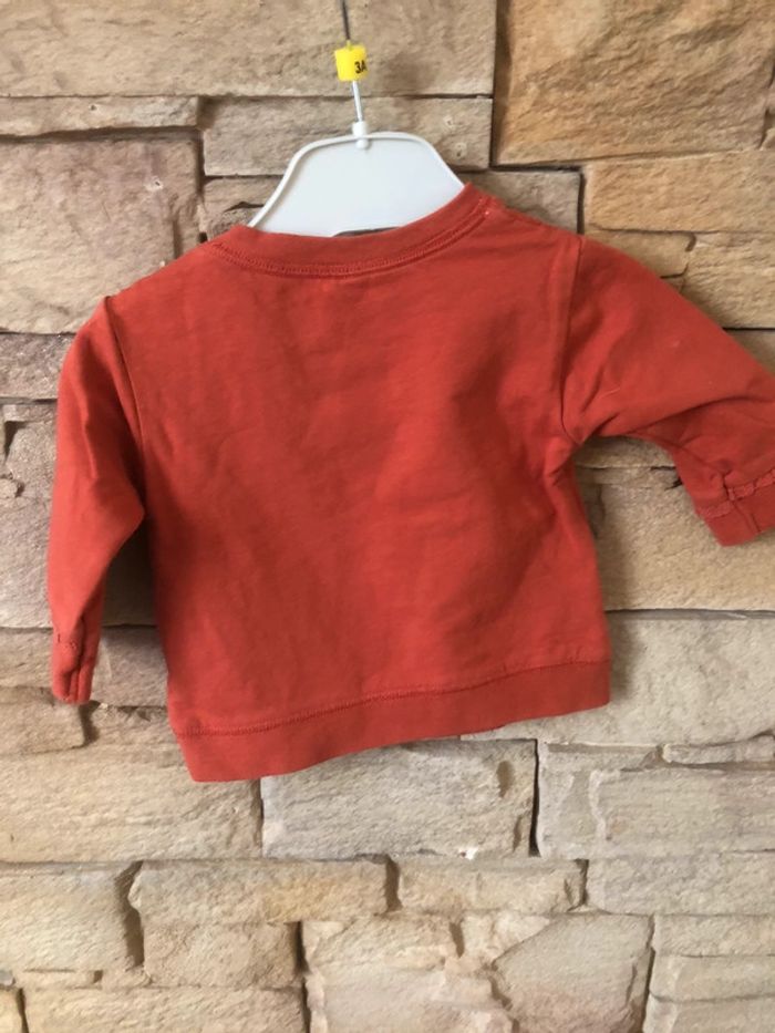 Pull fin 62 cm - photo numéro 4