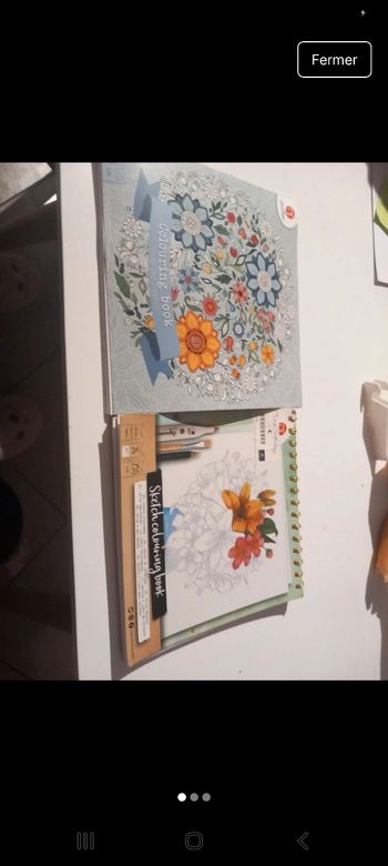Lot 2 livre de coloriage